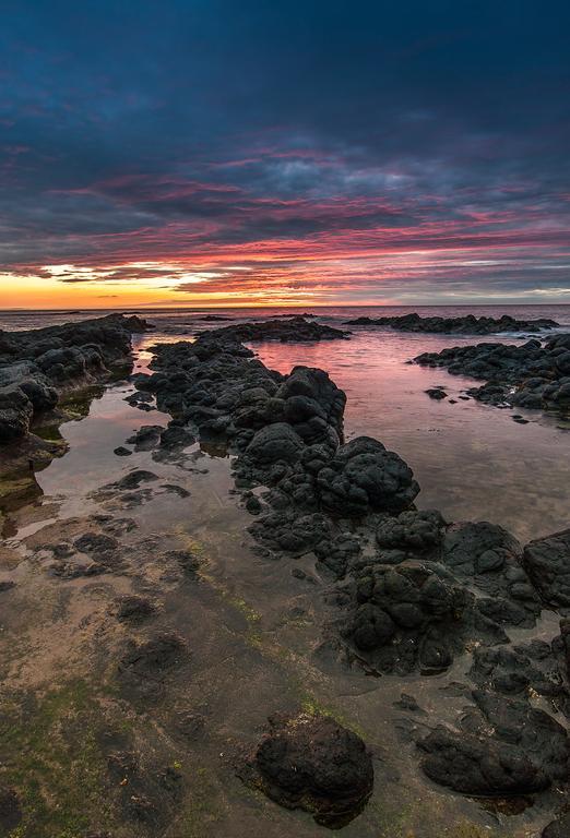 Harbour Heights B&B Portrush Bagian luar foto