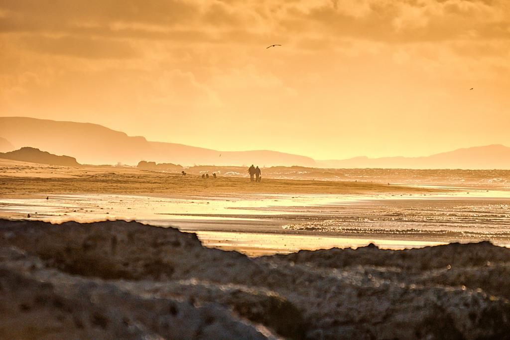 Harbour Heights B&B Portrush Bagian luar foto